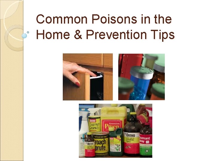 Common Poisons in the Home & Prevention Tips 