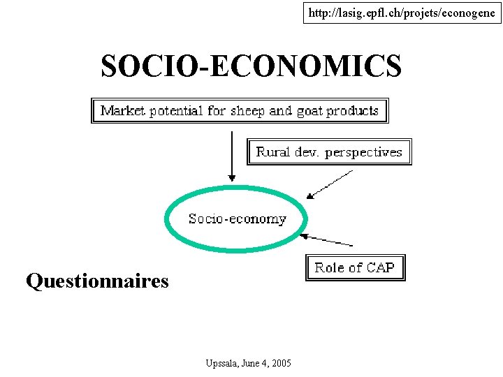 http: //lasig. epfl. ch/projets/econogene SOCIO-ECONOMICS Questionnaires Upssala, June 4, 2005 