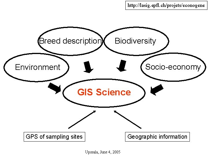 http: //lasig. epfl. ch/projets/econogene Breed description Biodiversity Socio-economy Environment GIS Science GPS of sampling