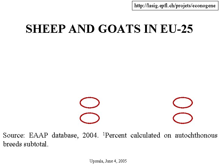 http: //lasig. epfl. ch/projets/econogene SHEEP AND GOATS IN EU-25 Source: EAAP database, 2004. 1
