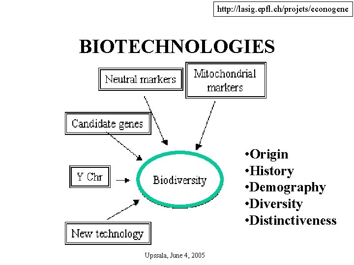 http: //lasig. epfl. ch/projets/econogene BIOTECHNOLOGIES • Origin • History • Demography • Diversity •