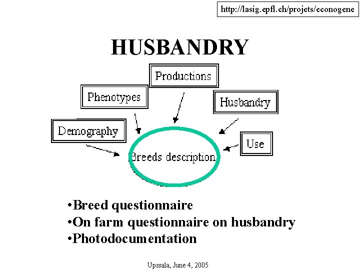 http: //lasig. epfl. ch/projets/econogene HUSBANDRY • Breed questionnaire • On farm questionnaire on husbandry