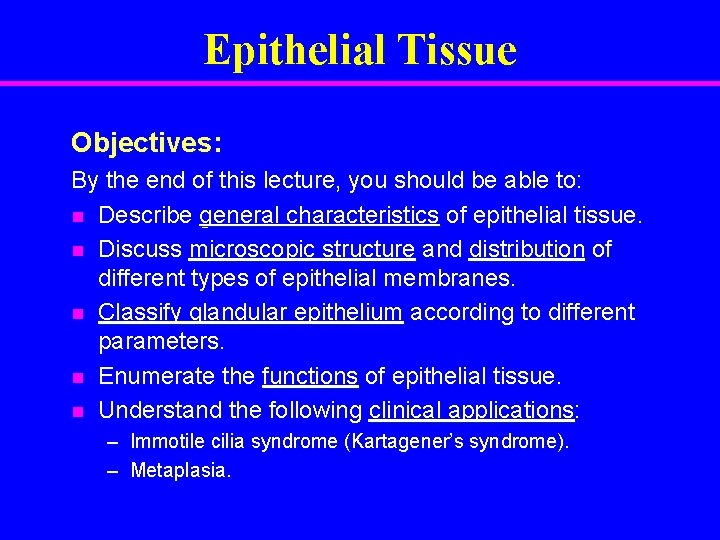 Epithelial Tissue Objectives: By the end of this lecture, you should be able to:
