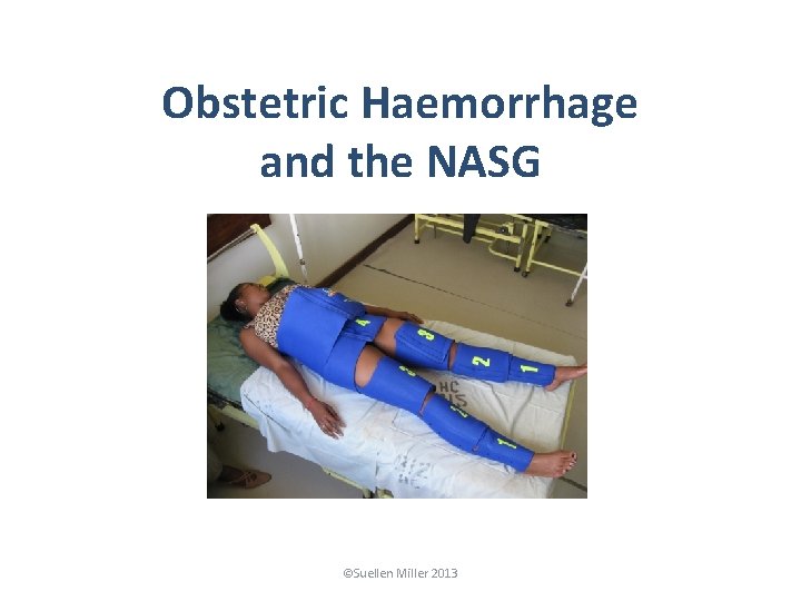 Obstetric Haemorrhage and the NASG ©Suellen Miller 2013 