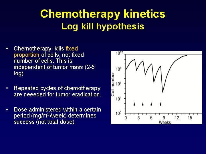 Chemotherapy kinetics Log kill hypothesis • Chemotherapy: kills fixed proportion of cells, not fixed