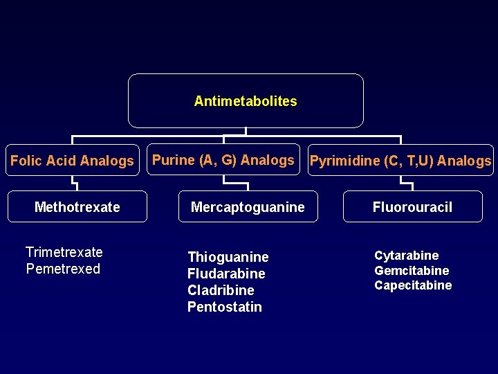Antimetabolites Folic Acid Analogs Methotrexate Trimetrexate Pemetrexed Purine (A, G) Analogs Pyrimidine (C, T,