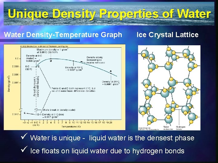 Unique Density Properties of Water Density-Temperature Graph Ice Crystal Lattice ü Water is unique