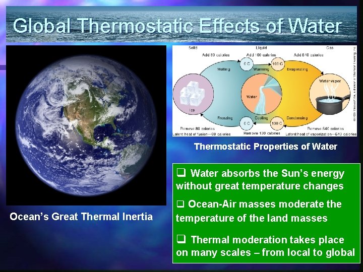 Global Thermostatic Effects of Water Thermostatic Properties of Water q Water absorbs the Sun’s