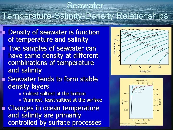 Seawater Temperature-Salinity-Density Relationships Density of seawater is function of temperature and salinity n Two