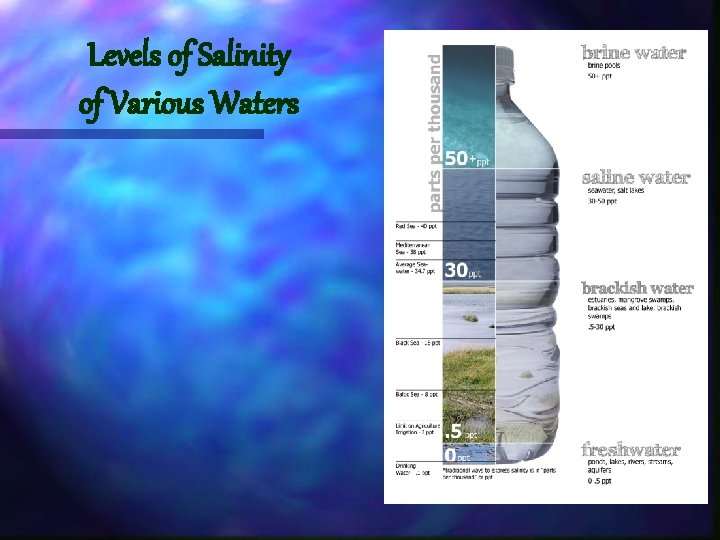 Levels of Salinity of Various Waters 