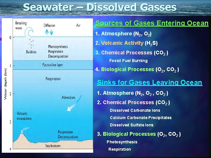 Seawater – Dissolved Gasses Sources of Gases Entering Ocean 1. Atmosphere (N 2, O