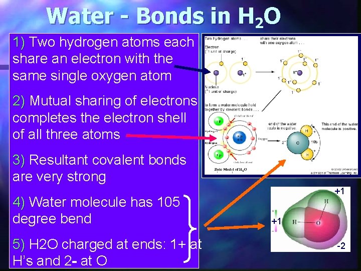 Water - Bonds in H 2 O 1) Two hydrogen atoms each share an