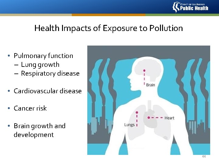 Health Impacts of Exposure to Pollution • Pulmonary function – Lung growth – Respiratory
