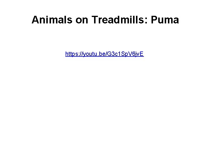 Animals on Treadmills: Puma https: //youtu. be/G 3 c 1 Sp. V 6 jv.