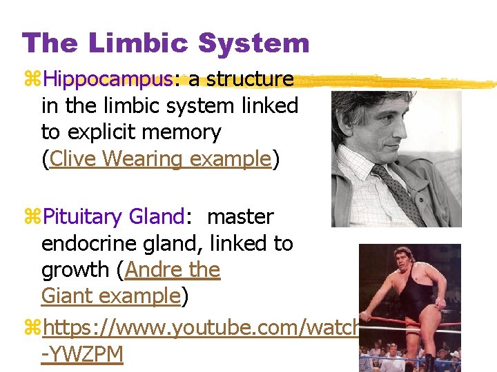 The Limbic System z. Hippocampus: a structure in the limbic system linked to explicit