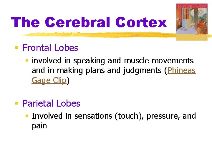 The Cerebral Cortex § Frontal Lobes § involved in speaking and muscle movements and