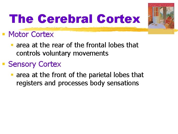 The Cerebral Cortex § Motor Cortex § area at the rear of the frontal