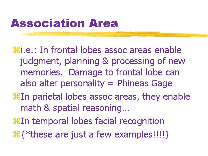 Association Area zi. e. : In frontal lobes assoc areas enable judgment, planning &