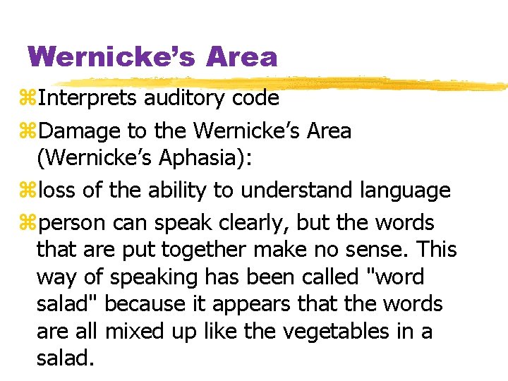 Wernicke’s Area z. Interprets auditory code z. Damage to the Wernicke’s Area (Wernicke’s Aphasia):