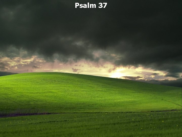 Psalm 37 