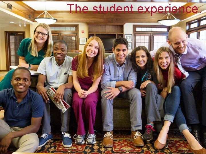 The student experience. 