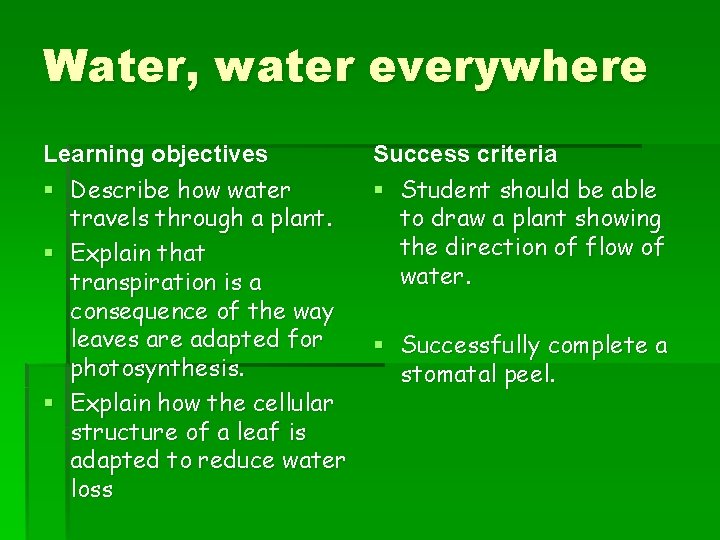 Water, water everywhere Learning objectives § Describe how water travels through a plant. §
