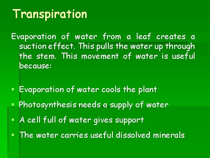 Transpiration Evaporation of water from a leaf creates a suction effect. This pulls the