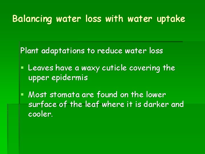 Balancing water loss with water uptake Plant adaptations to reduce water loss § Leaves