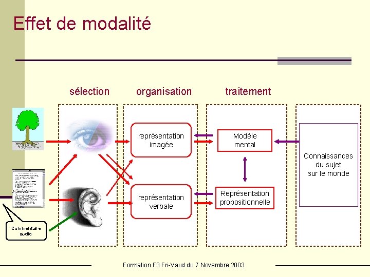 Effet de modalité sélection organisation représentation imagée traitement Modèle mental Connaissances du sujet sur