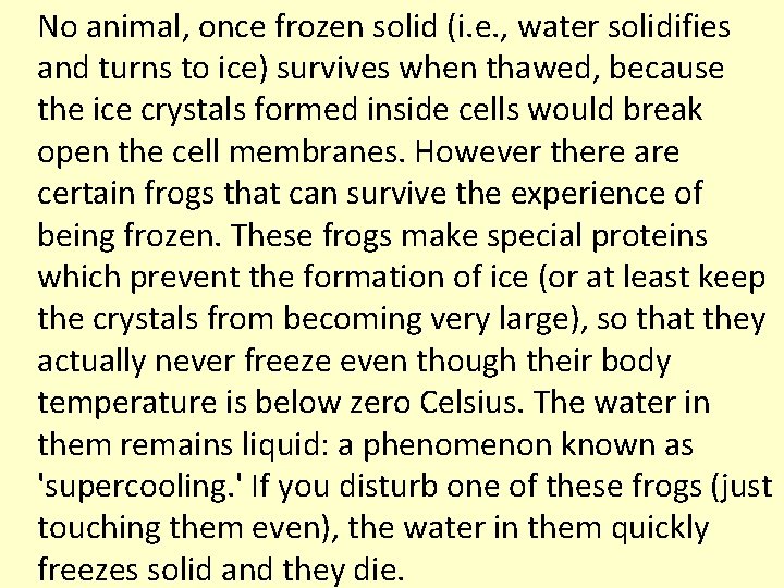 No animal, once frozen solid (i. e. , water solidifies and turns to ice)
