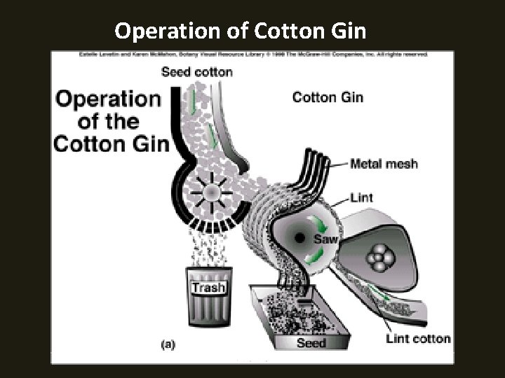 Operation of Cotton Gin 