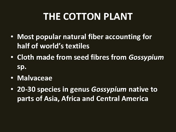 THE COTTON PLANT • Most popular natural fiber accounting for half of world’s textiles