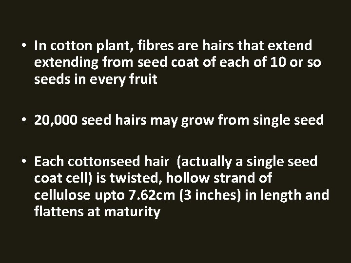  • In cotton plant, fibres are hairs that extending from seed coat of