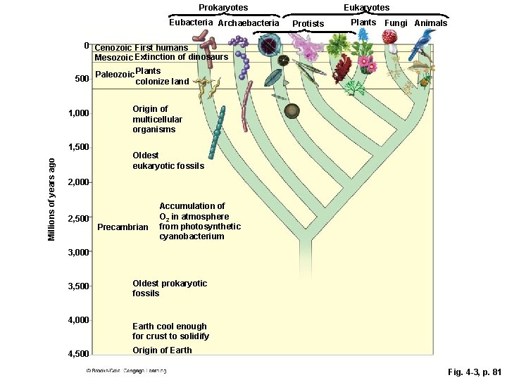 Biodiversity and Evolution Chapter 4 Core Case Study