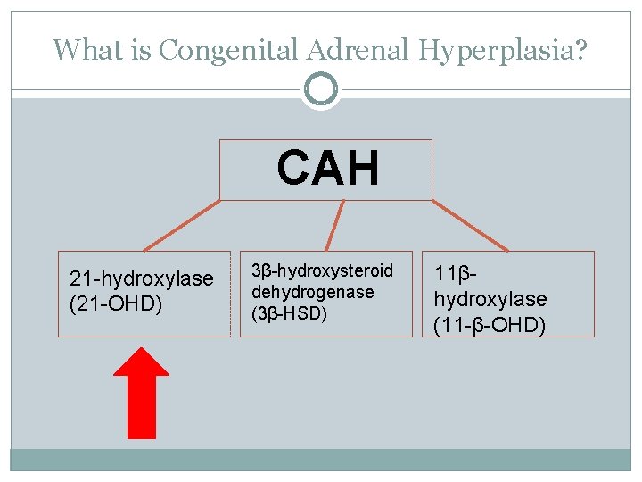 What is Congenital Adrenal Hyperplasia? CAH 21 -hydroxylase (21 -OHD) 3β-hydroxysteroid dehydrogenase (3β-HSD) 11βhydroxylase