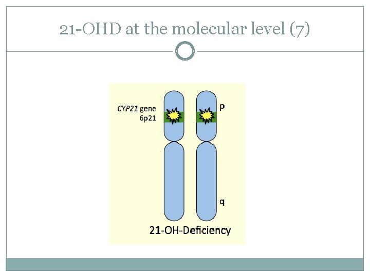 21 -OHD at the molecular level (7) 