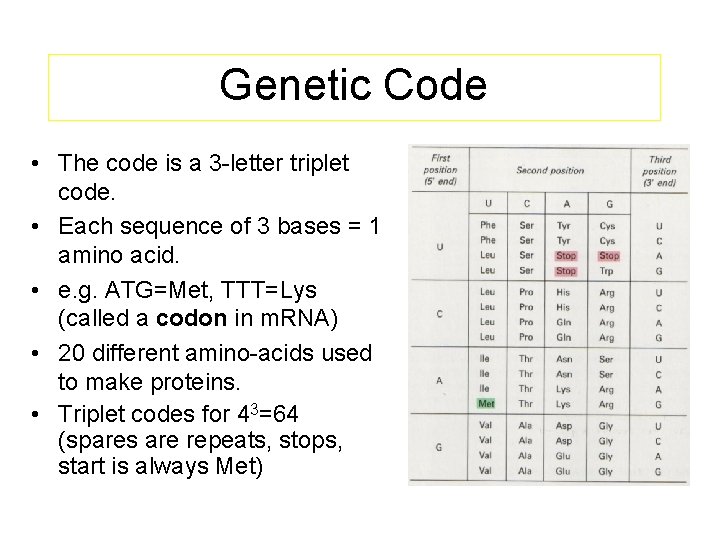 Genetic Code • The code is a 3 -letter triplet code. • Each sequence