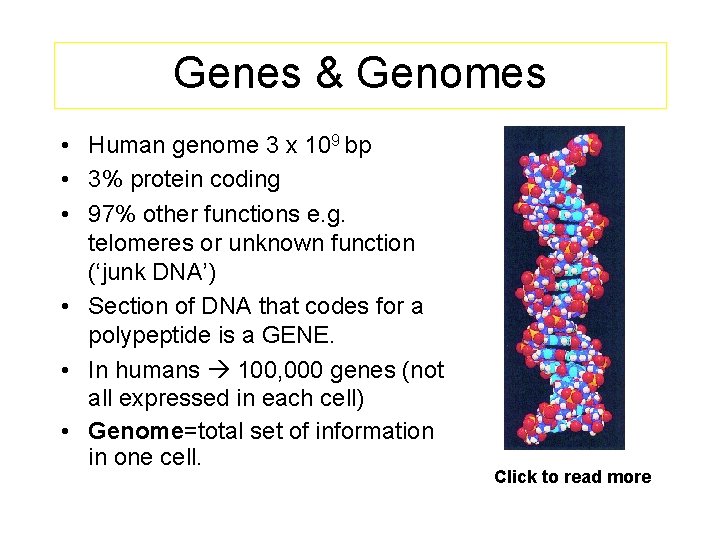 Genes & Genomes • Human genome 3 x 109 bp • 3% protein coding