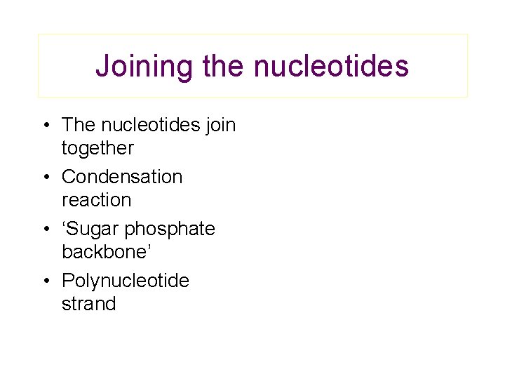 Joining the nucleotides • The nucleotides join together • Condensation reaction • ‘Sugar phosphate
