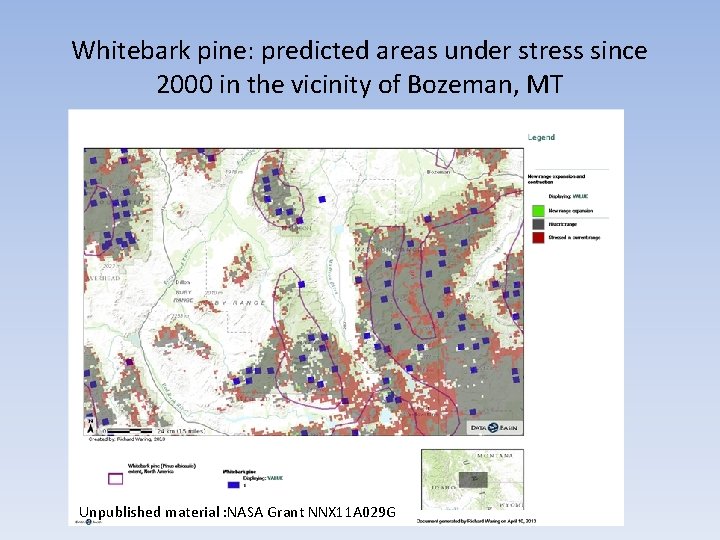 Whitebark pine: predicted areas under stress since 2000 in the vicinity of Bozeman, MT Whitebark pine: predicted areas under stress since 2000 in the vicinity of Bozeman, MT