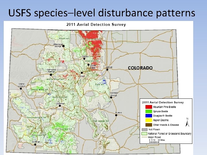 USFS species–level disturbance patterns COLORADO USFS species–level disturbance patterns COLORADO