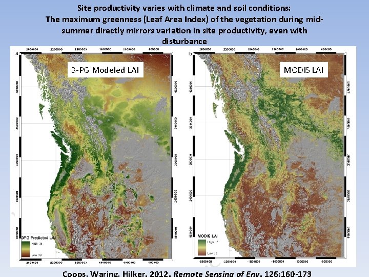 Site productivity varies with climate and soil conditions: The maximum greenness (Leaf Area Index) Site productivity varies with climate and soil conditions: The maximum greenness (Leaf Area Index)