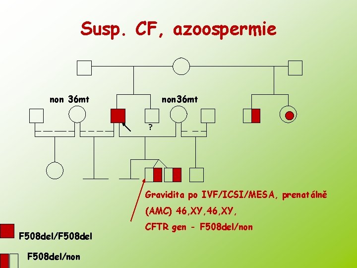 Susp. CF, azoospermie non 36 mt ? Gravidita po IVF/ICSI/MESA, prenatálně (AMC) 46, XY,