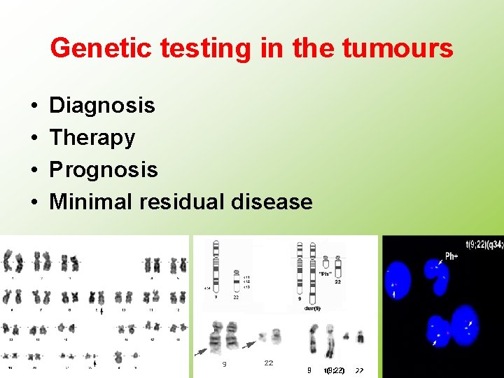 Genetic testing in the tumours • • Diagnosis Therapy Prognosis Minimal residual disease 