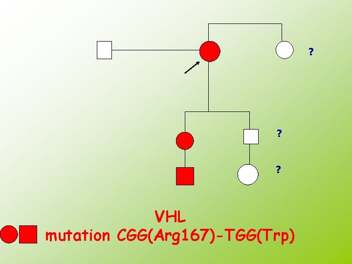 ? ? ? VHL mutation CGG(Arg 167)-TGG(Trp) 