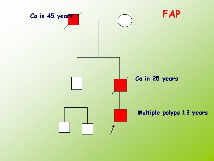 Ca in 45 years FAP Ca in 25 years Multiple polyps 13 years 