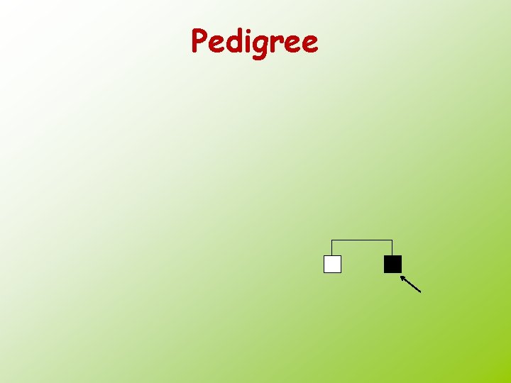 Pedigree 