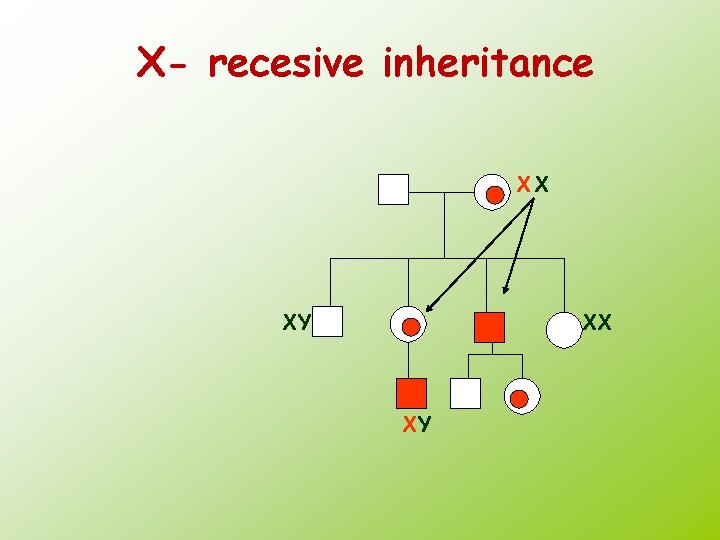 X- recesive inheritance XX XY 
