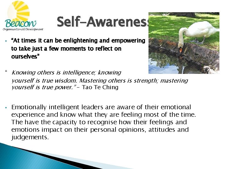 Self-Awareness § “At times it can be enlightening and empowering to take just a