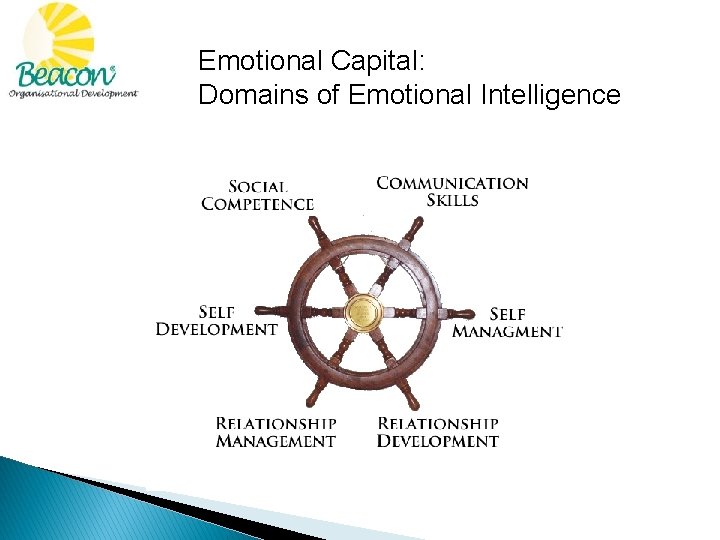 Emotional Capital: Domains of Emotional Intelligence 